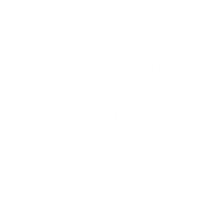 Tesla leasen
